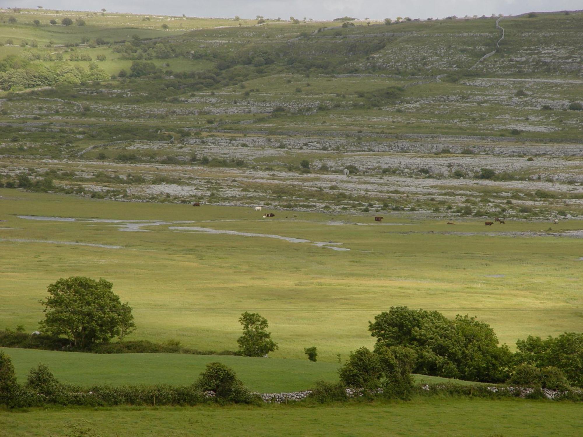 Clare'S Rock Self-Catering Accommodation Carron Exterior foto